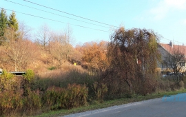 Stavební pozemek v Strupšíně u Brníčka, okres Šumperk