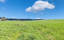 Stavební pozemky v obci Nová Seninka pod 