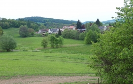 Rozlehlá zahrada s chatkou, Kamenná, okres Šumperk