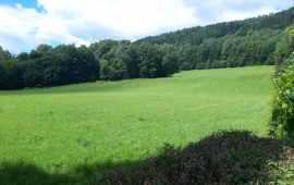 Rozsáhlý stavební pozemek, Loučná nad Desnou - Filipová